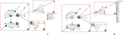 Atypical Serogroup IVb-v1 of Listeria monocytogenes Assigned to New ST2801, Widely Spread and Persistent in the Environment of a Pork-Meat Producing Plant of Central Italy